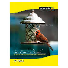 Classmate  unruled notebook  (24*18 cm) 120 Pages  (PACK OF 12)
